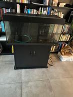 Aquarium, Dieren en Toebehoren, Vissen | Aquaria en Toebehoren, Ophalen, Leeg aquarium