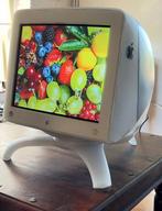 Apple Studio Display 21-inch CRT, Ophalen, Gebruikt, Overige typen, VGA