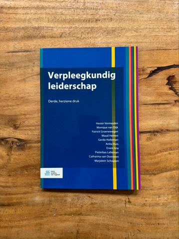 Hester Vermeulen - Verpleegkundig leiderschap beschikbaar voor biedingen