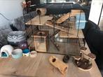 Hamster/ knaagdieren hok van glas, Dieren en Toebehoren, Knaagdieren en Konijnen | Hokken en Kooien, Minder dan 75 cm, Zo goed als nieuw