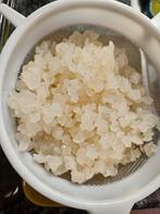 Waterkefir kefir korrels, Diversen, Levensmiddelen, Ophalen of Verzenden