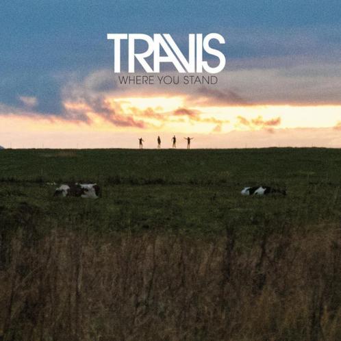 TRAVIS CD + DVD WHERE YOU STAND, Cd's en Dvd's, Cd's | Pop, Zo goed als nieuw, 1980 tot 2000, Ophalen of Verzenden