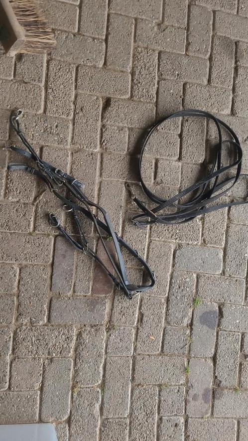 Martingaal, slof en bijzet touw FULL, Dieren en Toebehoren, Paarden en Pony's | Overige Paardenspullen, Zo goed als nieuw, Ophalen of Verzenden