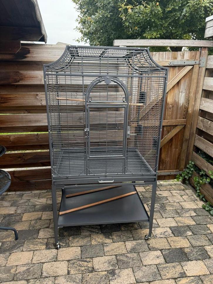 Zeer grote vogelkooi te koop voor slechts €100, Dieren en Toebehoren, Vogels | Hokken en Kooien, Zo goed als nieuw, Vogelkooi