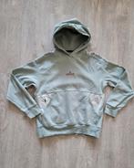 Zara prachtige hoodie maat 9-10y (140), Jongen of Meisje, Trui of Vest, Ophalen of Verzenden, Zo goed als nieuw