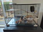 Ferplast Knaagdierenkooi Karat 80 - 78.5x45, Ophalen of Verzenden, 75 tot 110 cm, Kooi, Minder dan 60 cm