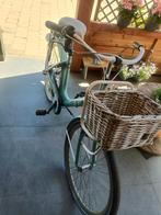 Alpina 26 inch meidenfiets, Fietsen en Brommers, Fietsen | Dames | Omafietsen, 47 tot 50 cm, Ophalen, Gebruikt, Alpina
