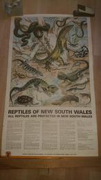 Vintage Poster National Parks and Wildlife Service Sydney, Foto of Poster, Gebruikt, Ophalen of Verzenden, 50 tot 75 cm