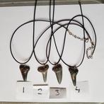 Haaientand aan ketting, Ophalen of Verzenden, Fossiel
