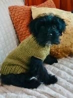 Handgemaakte Hondentrui Chihuahua Poedel Teacup Kees Pom pup, Ophalen of Verzenden, Nieuw, Hondentrui