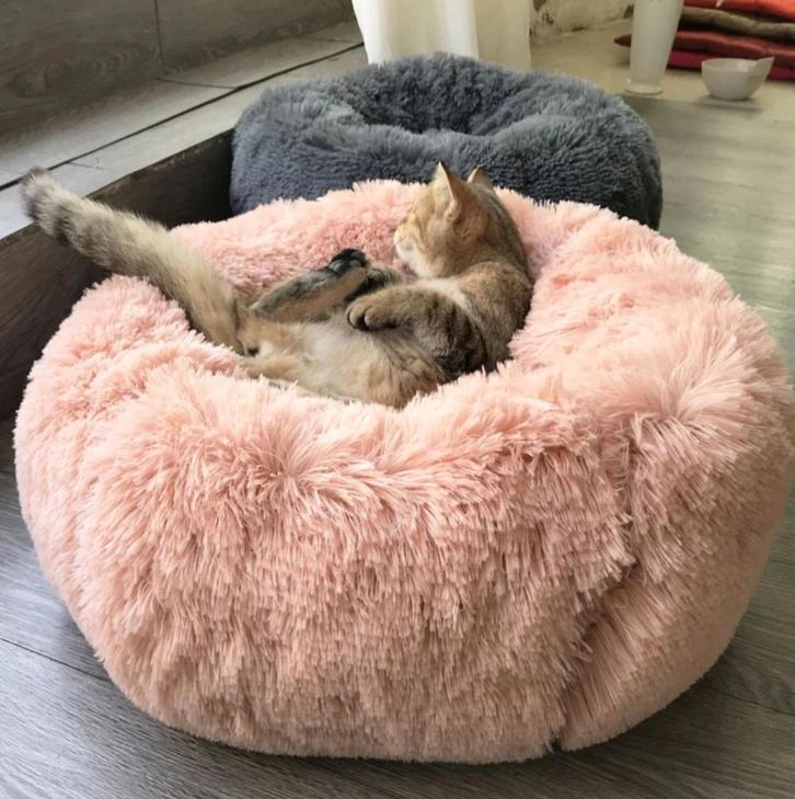 Pluche Kattenpoef Hondenpoef Kattenmand Hondenmand, Dieren en Toebehoren, Kattenmanden, Nieuw, Pluche, Verzenden