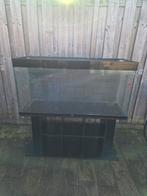 Ciano 120cm aquarium met meubel, Ophalen, Gebruikt, Leeg aquarium