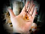 Mot Ketting Epoxy Insect handgemaakt koord curiosa choker, Overige materialen, Verstelbaar, Bruin, Verzenden