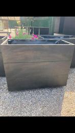 Plantenbak Borderbak, Tuin en Terras, Bloembakken en Plantenbakken, Ophalen, Nieuw, Rechthoekig, Hout