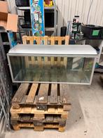 Akvastabil aquarium, Dieren en Toebehoren, Ophalen, Leeg aquarium