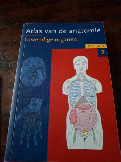 H. Fritsch - 2 inwendige organen, Boeken, Wetenschap, Zo goed als nieuw, Ophalen of Verzenden