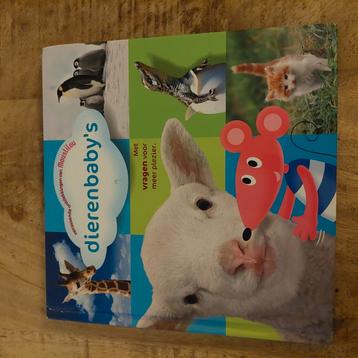 Dierenbaby's  beschikbaar voor biedingen