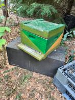 Bijenvolk incl kunststof spaarkast, Dieren en Toebehoren, Bijen
