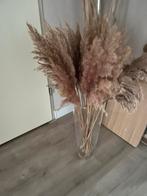 Glazen vaas met pampas takken, Ophalen, Zo goed als nieuw