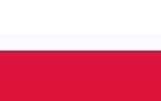 Poolse vlag, Diversen, Vlaggen en Wimpels, Nieuw, Verzenden