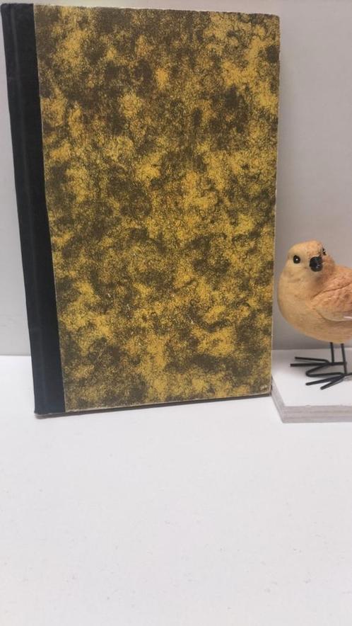 Lamain, Ds. W.C.; Diverse preken in 1 bundel, Boeken, Godsdienst en Theologie, Gelezen, Christendom | Protestants, Ophalen of Verzenden