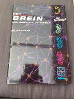 Het Brein - Ad Bergsma, Ophalen, Gelezen, Functieleer of Neuropsychologie, Ad Bergsma