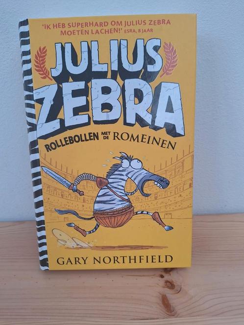 Gary Northfield - Rollebollen met de Romeinen, Boeken, Kinderboeken | Jeugd | onder 10 jaar, Zo goed als nieuw, Ophalen
