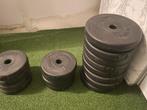 Dumbbell Set - 2 Stuks + Gewichten (Totaal 29 kg), Sport en Fitness, Fitnessmaterialen, Ophalen, Gebruikt, Armen, Halterset
