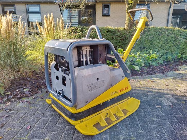 Wacker Neuson trilplaat te koop DPU 6555 (10-2013), Tuin en Terras, Hand-tuingereedschap, Gebruikt, Ophalen