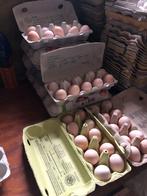 Wyandotte kriel broedeitjes mix, Dieren en Toebehoren, Pluimvee, Geslacht onbekend, Kip