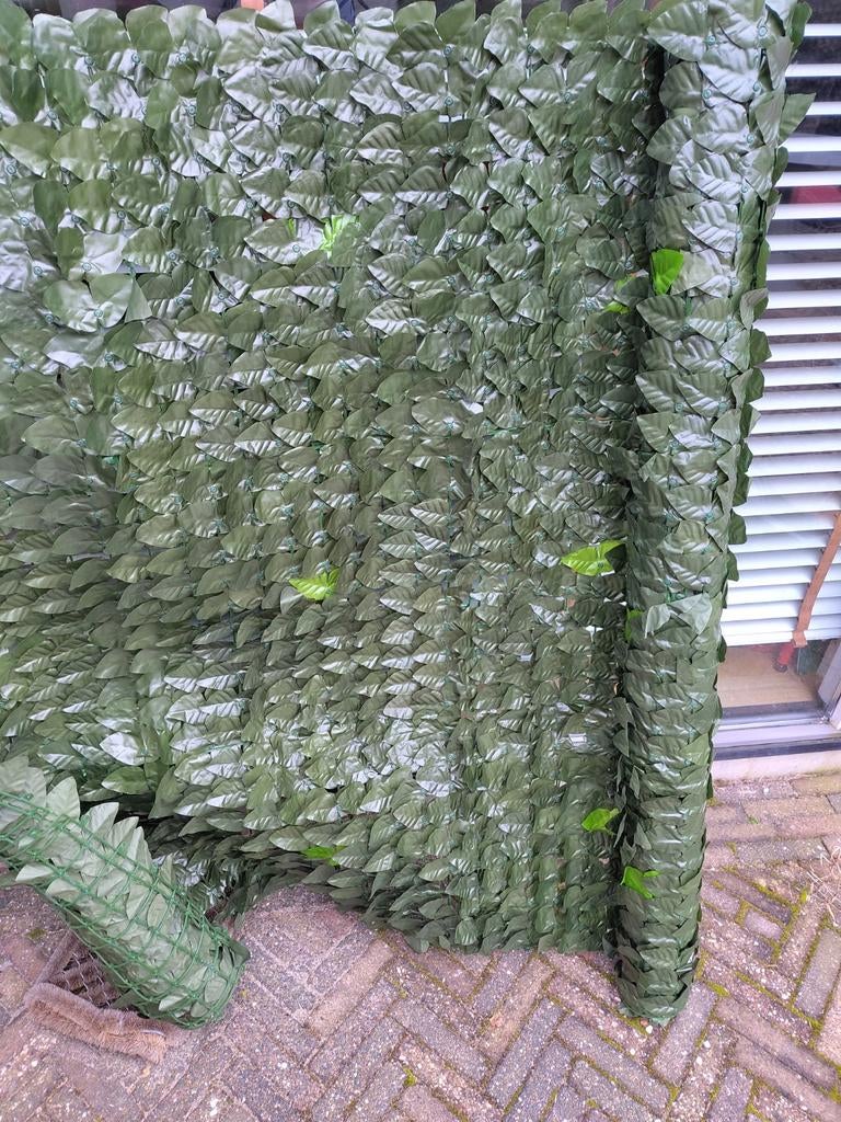 Kunsthaag Laurier, Tuin en Terras, Ophalen, Nieuw