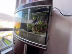Trofis aquarium 280L eikenhout alluminium, Ophalen of Verzenden, Zo goed als nieuw, Leeg aquarium