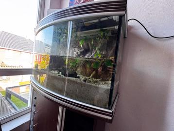 €160 dit weekend! Trofis aquarium 280L eikenhout alluminium beschikbaar voor biedingen