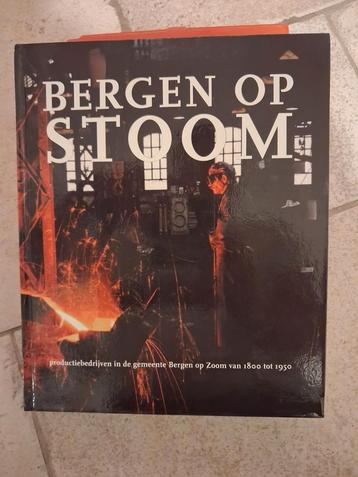  B Bergen op Stoom - Productiebedrijven 1800-1950 beschikbaar voor biedingen