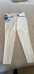 Witte wedstrijd paardrijbroek nieuw Kingsland M, Dressuur, Nieuw, Ophalen of Verzenden, Dames