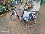 BATAVUS Cantate Damesfiets, Fietsen en Brommers, Ophalen, Gebruikt, Batavus, 56 cm of meer