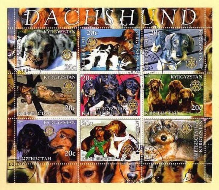 Dogs, Dachshund - Kyrgyzstan 2004 - Gestempeld, Postzegels en Munten, Postzegels | Thematische zegels, Gestempeld, Dier of Natuur