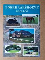 Grolloo - Boerhaarshoeve - vijfluik, Ophalen of Verzenden, 1980 tot heden, Ongelopen, Drenthe