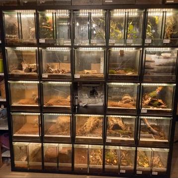 Kallax met custom terrariums beschikbaar voor biedingen