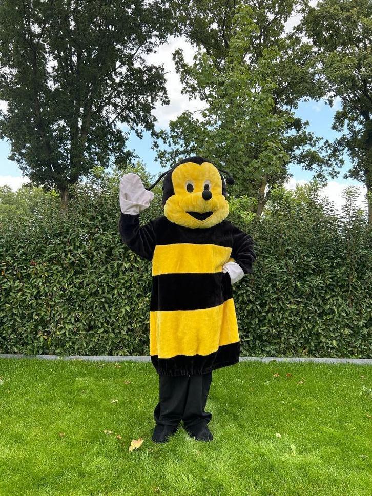 Te Huur: Bij-kostuum, Mascotte, Dieren, Carnaval, Hobby en Vrije tijd, Feestartikelen | Verhuur, Zo goed als nieuw, Carnaval, Ophalen of Verzenden
