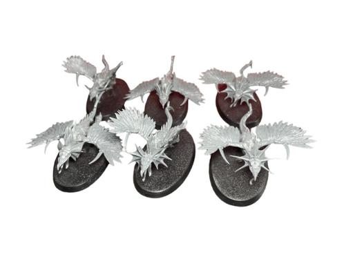 Warhammer Age of Sigmar Slaves to Darkness Raptoyrx, Hobby en Vrije tijd, Wargaming, Zo goed als nieuw, Warhammer, Figuurtje(s)