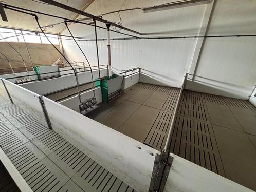 Hokinrichting voor biggen [414], Dieren en Toebehoren, Stalling en Weidegang