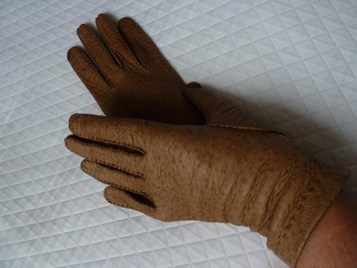 Bruine peccary leren handschoenen, nieuw + ongedragen, mt. 7, Kleding | Dames, Mutsen, Sjaals en Handschoenen, Nieuw, Handschoenen