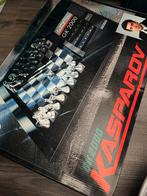 Kasparov GK 2000 Schaakcomputer - Saitek, Hobby en Vrije tijd, Gezelschapsspellen | Bordspellen, Een of twee spelers, Ophalen of Verzenden