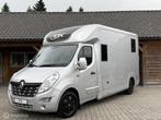 Renault Master STX 5 Zit Paardenwagen Paardenvrachtwagen, Gebruikt, Overige typen