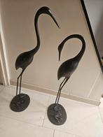 Superbrassy kraanvogels, Ophalen