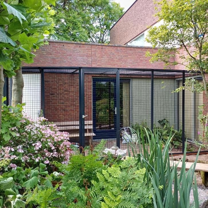 Kattenren de Meern | Maatwerk | Duurzame materialen, Dieren en Toebehoren, Katten-accessoires, Nieuw, Ophalen of Verzenden