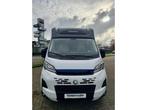 Chausson X 650 MODEL 2025, Diesel, 6 tot 7 meter, Tot en met 4, Chausson
