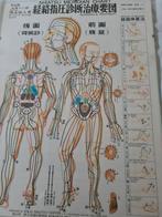 Shiatsu Meridian Chart - Vintage Poster, Antiek en Kunst, Ophalen of Verzenden, Overige thema's