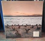 AIRBAG A DAY AT THE BEACH LIM COLOR VINYL AANBIEDING, Ophalen of Verzenden, Zo goed als nieuw, 12 inch, Progressive